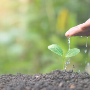 environmental awareness online courses