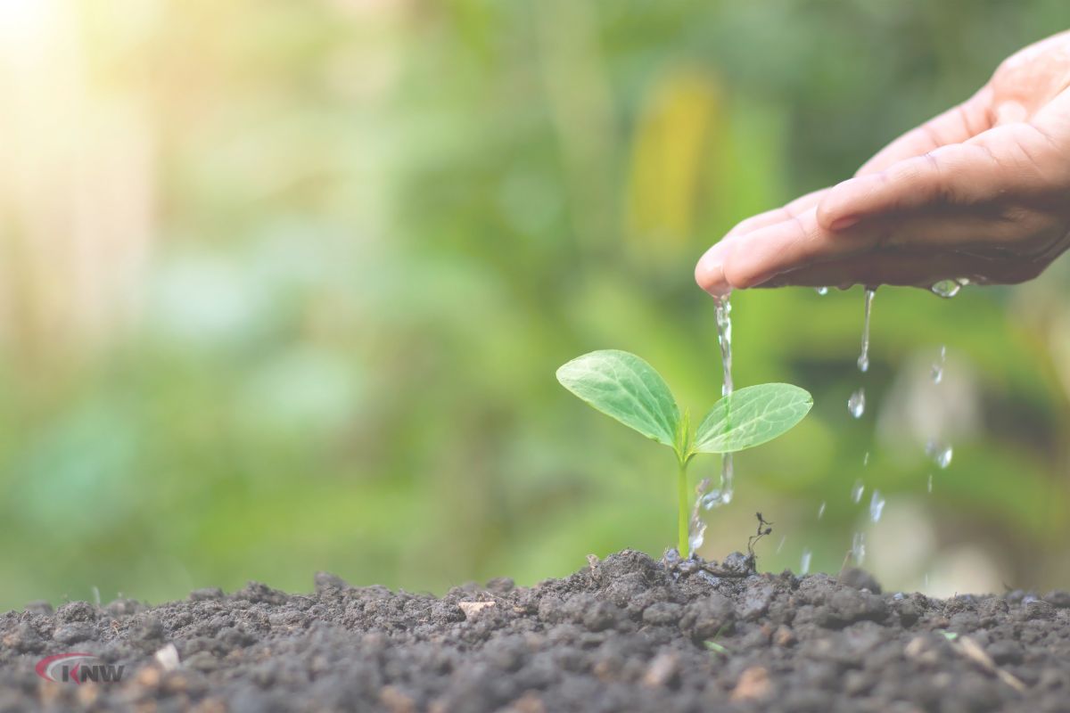 environmental awareness online courses